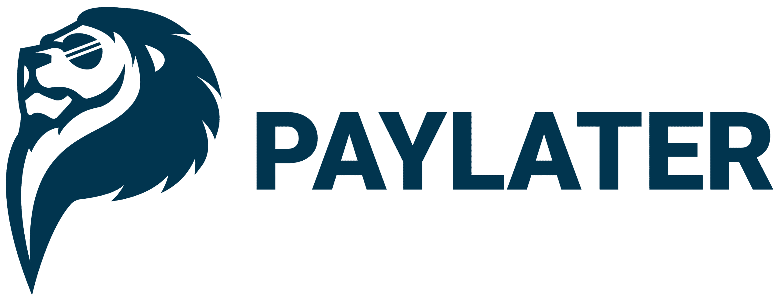 paylater_logo
